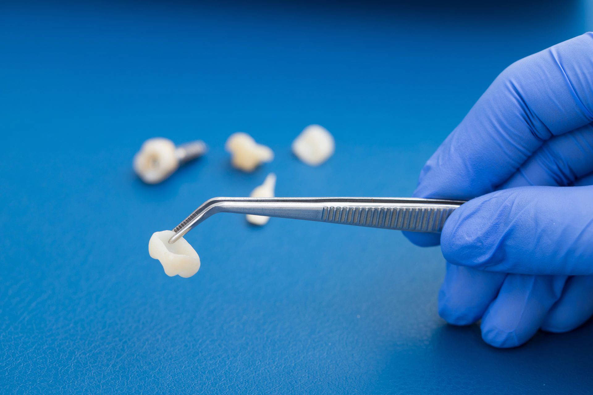 A series of dental crowns displayed out